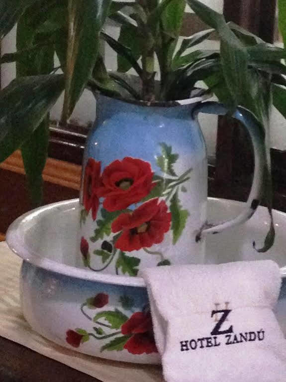 Hotel Zandu